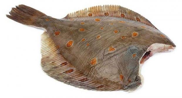 

Камбала Ultra Fish (0,8-1,2 кг), 1 упаковка ~ 1 кг