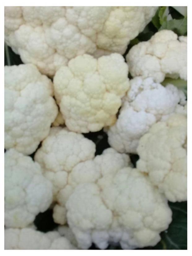 Капуста цветная АШАН 1 упаковка 138₽