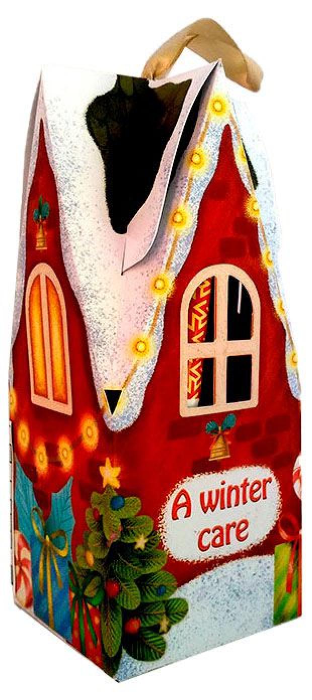 

Подарочный набор Крем для рук Winter Care, 75 мл + Гель для душа Winter Care, 250 мл