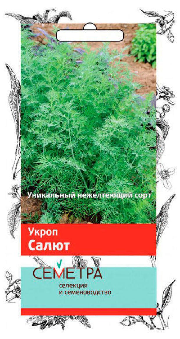 

Семена Укроп «Поиск» Салют, 2 г