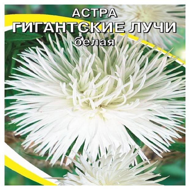 

Семена Астра «АГРЭКС» Гигантские лучи Белая, 0,25 г