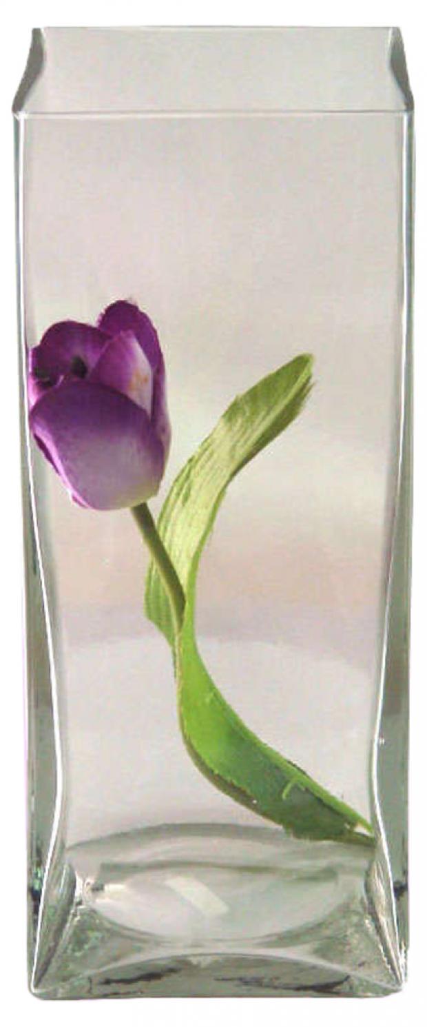 Квадратная ваза ЭВИС Амстердам стеклянная прозрачная 10x26 см 389₽