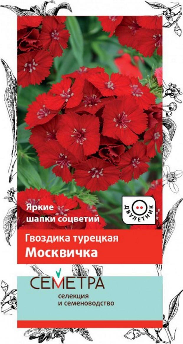 

Семена Гвоздика «Поиск» Москвичка, 0,5 г