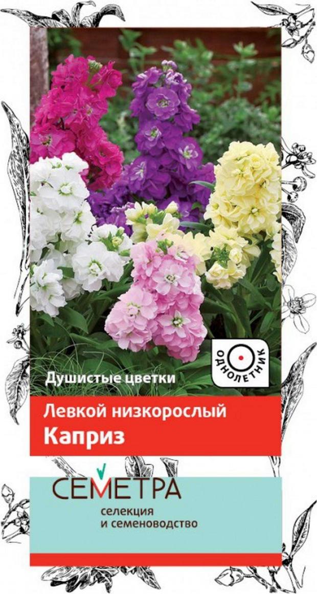 

Семена Левкой «Поиск» Низкорослый каприз, 0,3 г