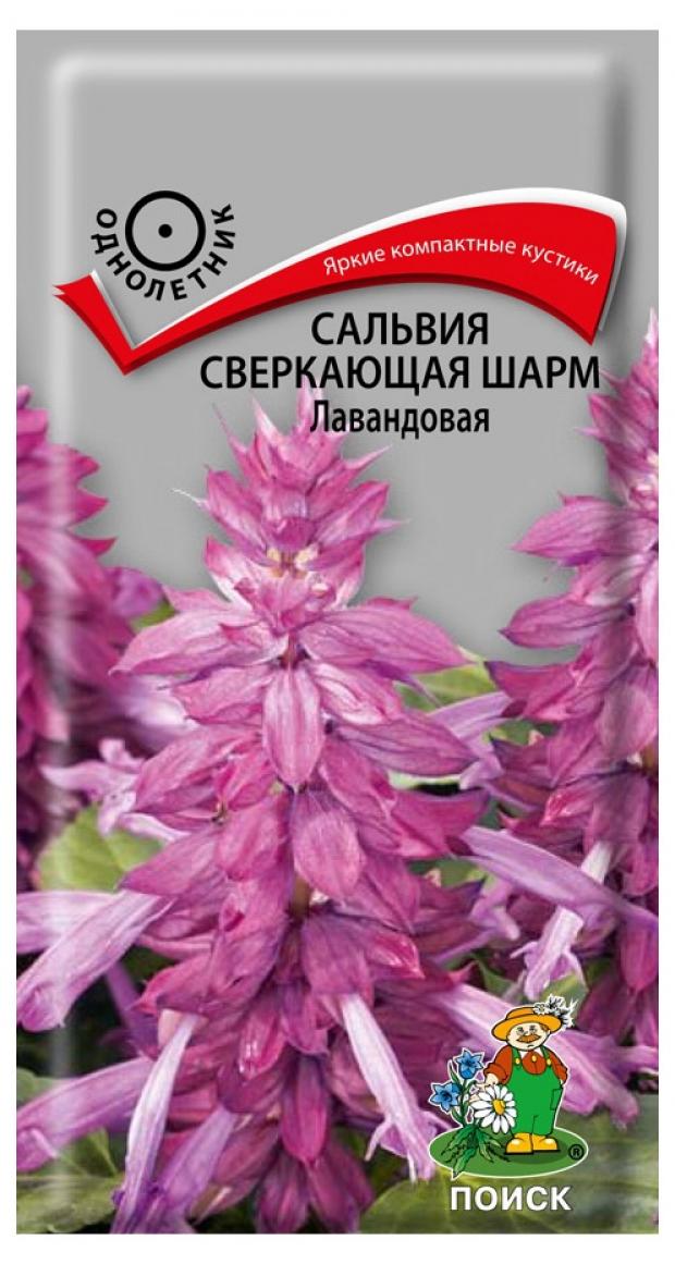 

Семена Сальвия «Поиск» Сверкающая шарм лавандовая, 0,1 г