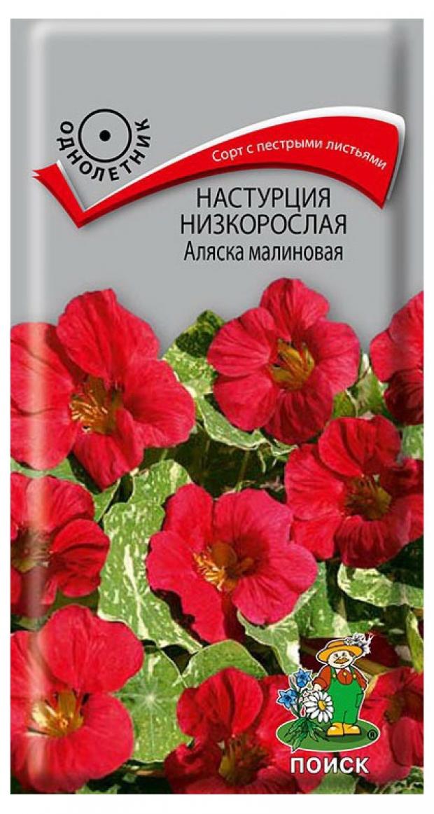 

Семена Настурция «Поиск» Низкорослая Аляска малиновая, 1 г
