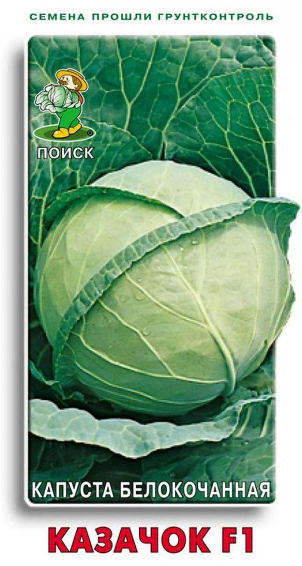 

Семена Капуста «Поиск» Белый казачок, 0,5 г