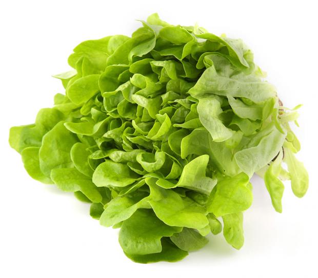 Салат Саланова Агрохолдинг Московский Блюз зеленый 170 г 100₽