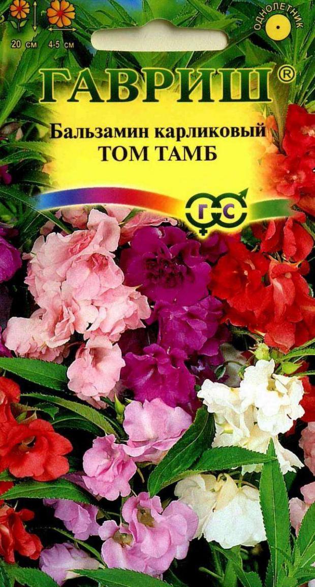 

Семена Бальзамин «Гавриш» Том Тамб карликовый, 0,1 г