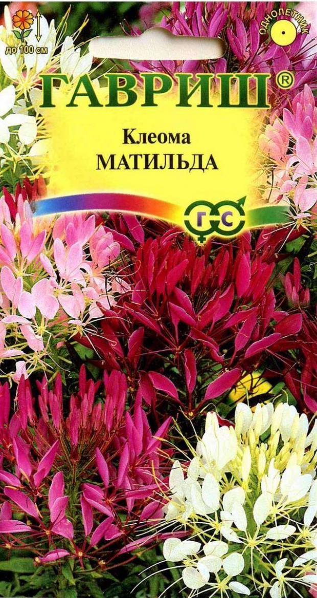 

Семена Клеома «Гавриш» Матильда колючая, 0,3 г