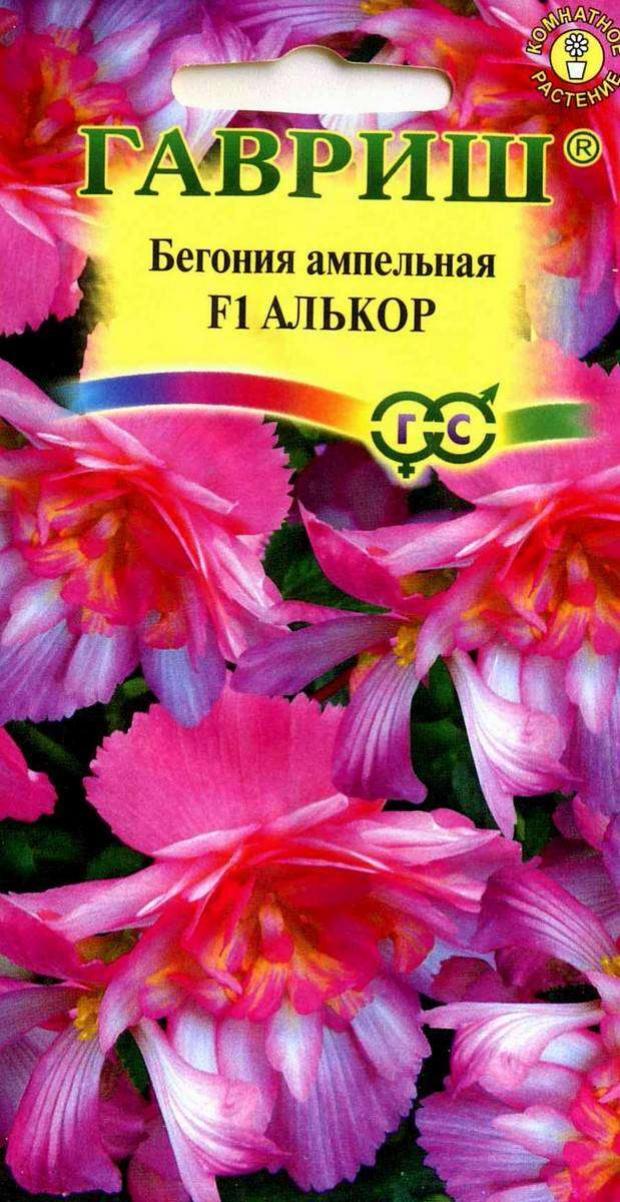 

Семена Бегония «Гавриш» Алькор F1, 4 шт