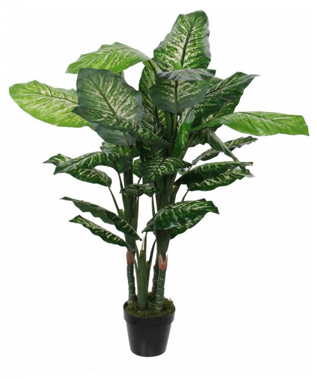 

Цветок искусственный Mica Decorations Диффенбахия в горшке, 120 см