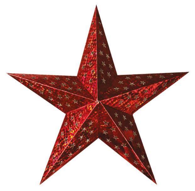 

Звезда рождественская Arte Nuevo красная, 60 см