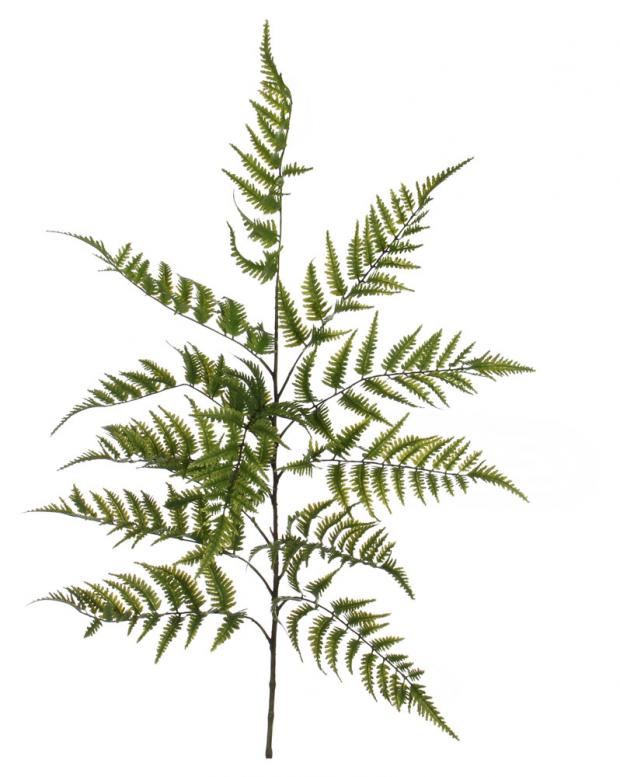 

Цветок искусственный Mica Decorations Папоротник, 120 см