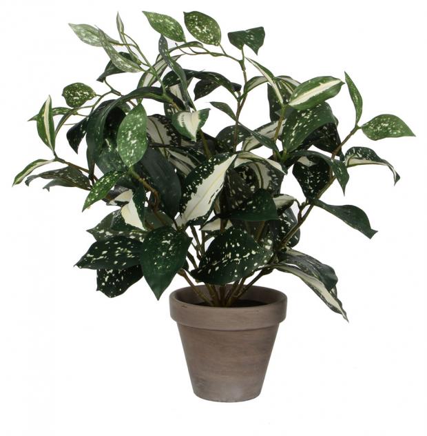 

Цветок искусственный Mica Decorations Кордилина в горшке, 35 см