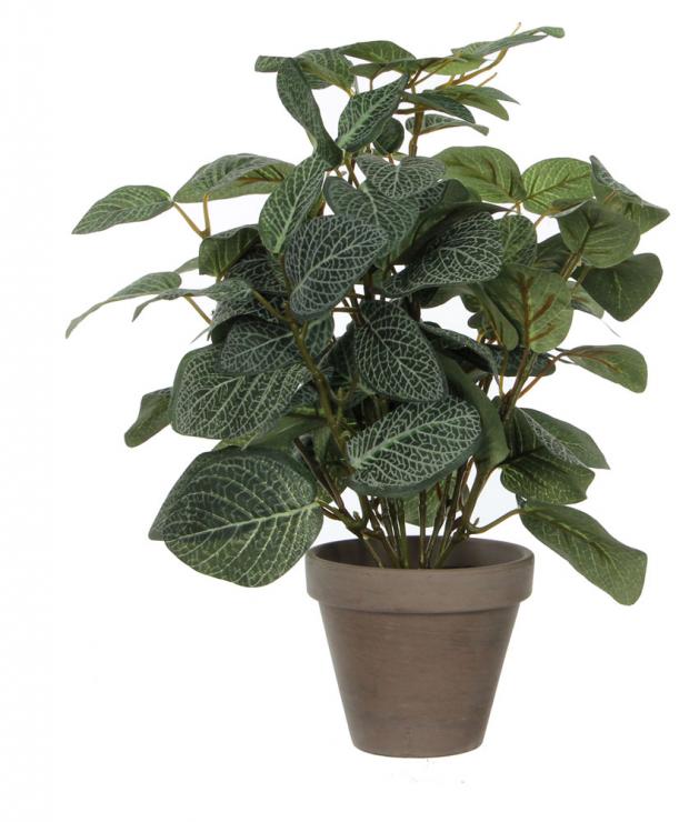 

Цветок искусственный Mica Decorations Пилея в горшке, 35 см