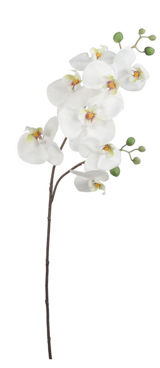 

Цветок искусственный Mica Decorations Орхидея белый, 87 см