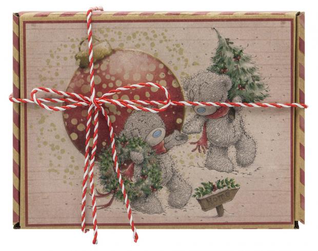 

Подарочная коробка Winter Wings, 20x15 см
