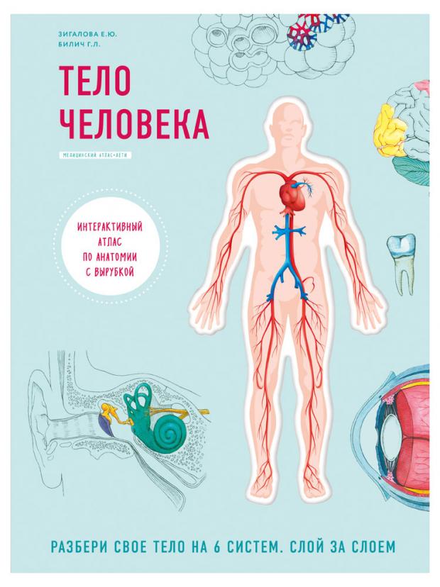 

Тело человека. Интерактивный атлас по анатомии с вырубкой. Разбери свое тело на 6 систем. Слой за слоем, Билич Г.Л., Зигалова Е.Ю.