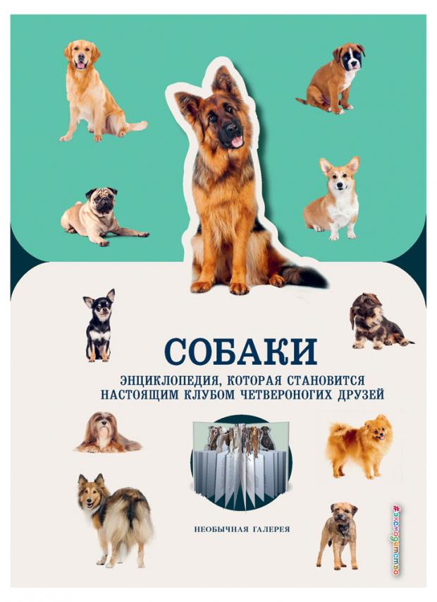 

Собаки, Конн А.