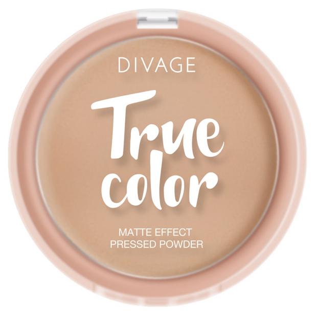 

Пудра компактная Divage True Color Sand тон № 04