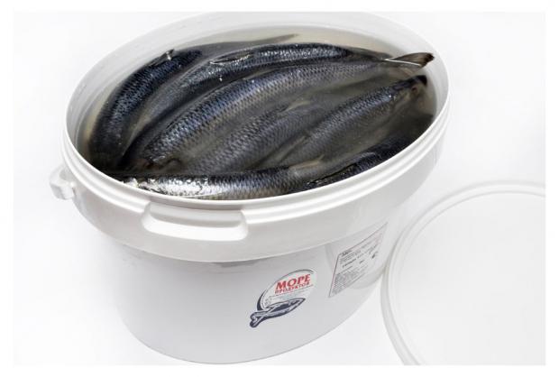 

Сельдь слабосленая «Море продуктов» крупная неразделанная с головой, вес