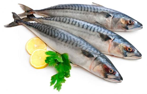 

Скумбрия Ultra Fish, вес