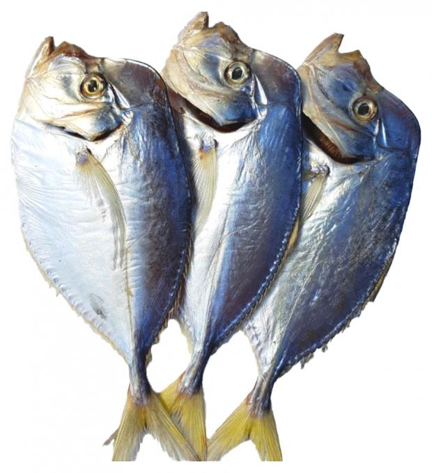 

Вомер вяленый «Море продуктов» неразделанная с головой, вес