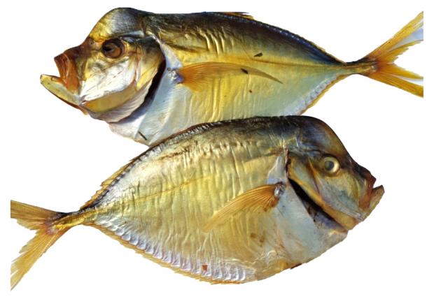 

Вомер холодного копчения «Море продуктов» неразделанная с головой, вес