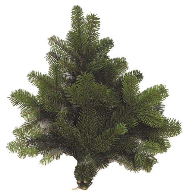 

Букет из пихты Нордмана, 40х40х40 см