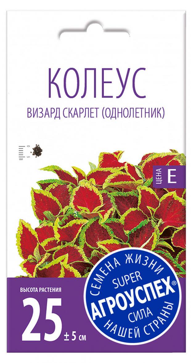 

Семена Колеус «Агроуспех» Визард Скарлет, 10 шт