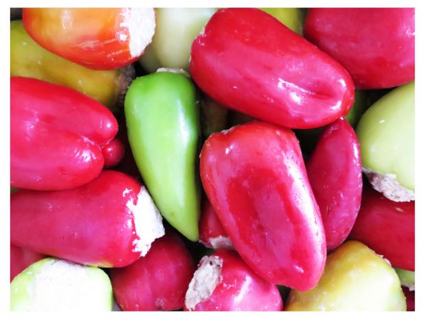 

Перец фаршированный «Хвалынские» ПО-Деревенски куриный (0,8-1,2 кг), 1 упаковка ~ 1 кг