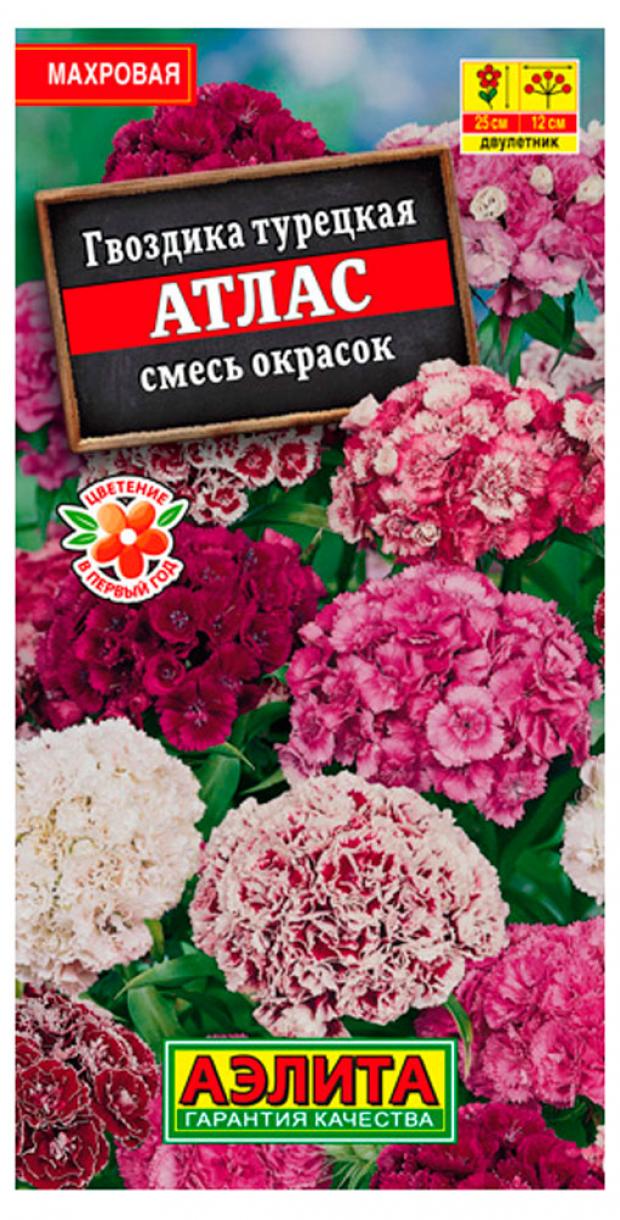 

Семена Гвоздика «Аэлита» Атлас турецкая, 0,3 г