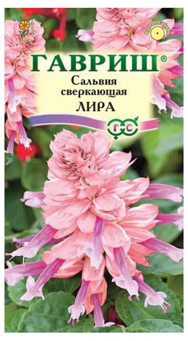

Семена Сальвия «Гавриш» Лира, 5 шт
