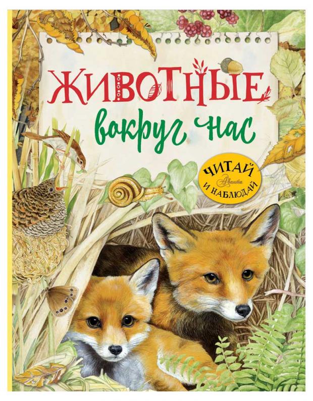 

Животные вокруг нас, Барсотти Р.