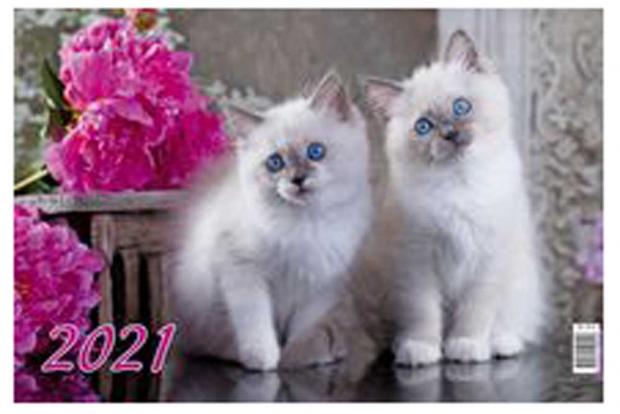 

Календарь 3-блочный квартальный. Котята