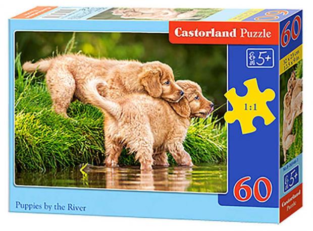 

Пазл Castorland Midi, 60 деталей