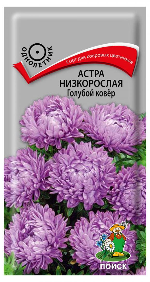 Семена Астра Поиск Голубей ковер низовая 02 г 13₽