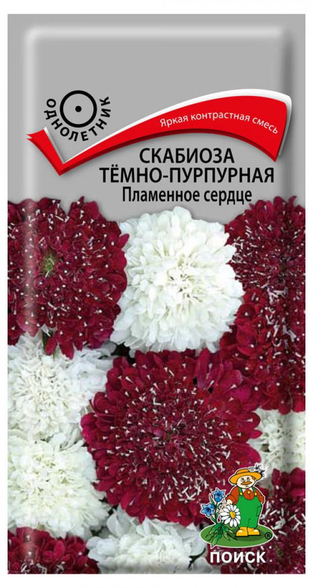

Семена Скабиоза «Поиск» Пламенное сердце темно-пурпурная, 10 шт