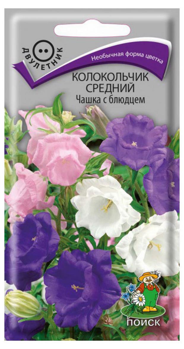 Семена Колокольчик Поиск Чашка с блюдцем 02 г 16₽