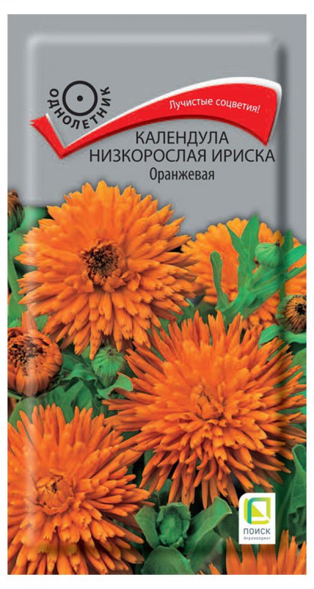 

Семена Календула «Поиск» Ириска оранжевая, 10 шт