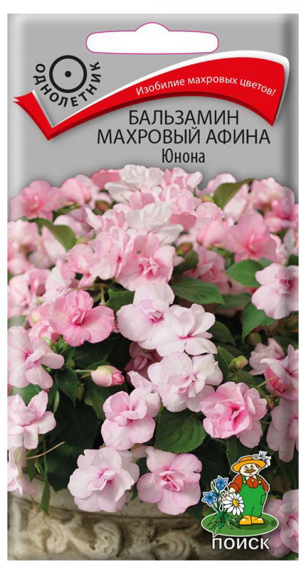 

Семена Бальзамин «Поиск» Афина Юнона махровый, 5 шт