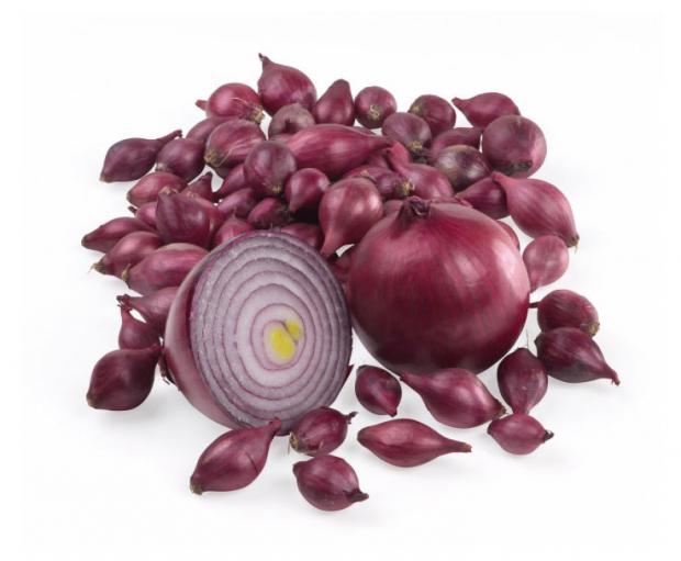 

Лук-севок Ред барон, 500 г