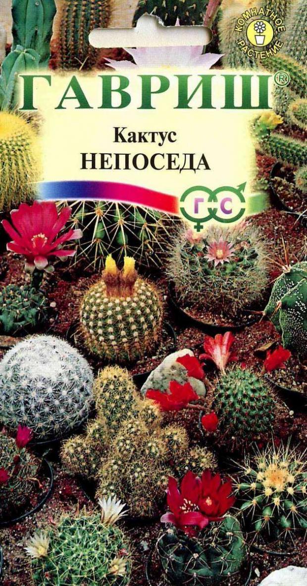 

Семена Кактус «Гавриш» Непоседа, 0,05 г