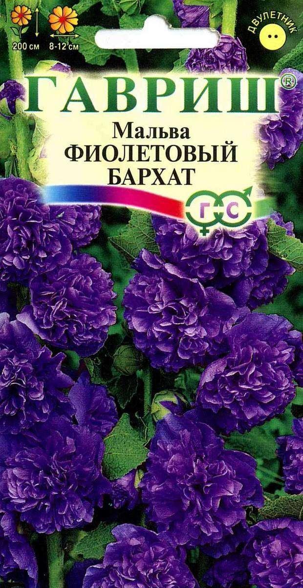 

Семена Мальва «Гавриш» Фиолетовый бархат, 0.1 г
