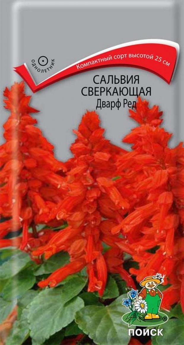 

Семена Сальвия «Поиск» Сверкающая дварф ред, 0,1 г