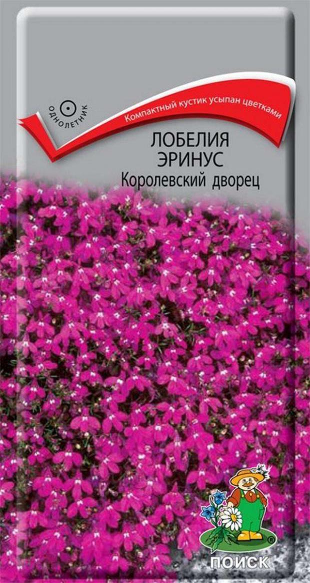 

Семена Лобелия «Поиск» Эринус королевский дворец, 0,1 г