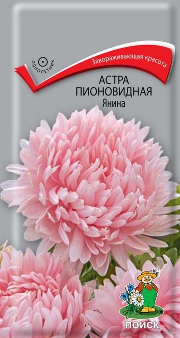 

Семена Астра «Поиск» Пионовидная Янина, 0.3 г