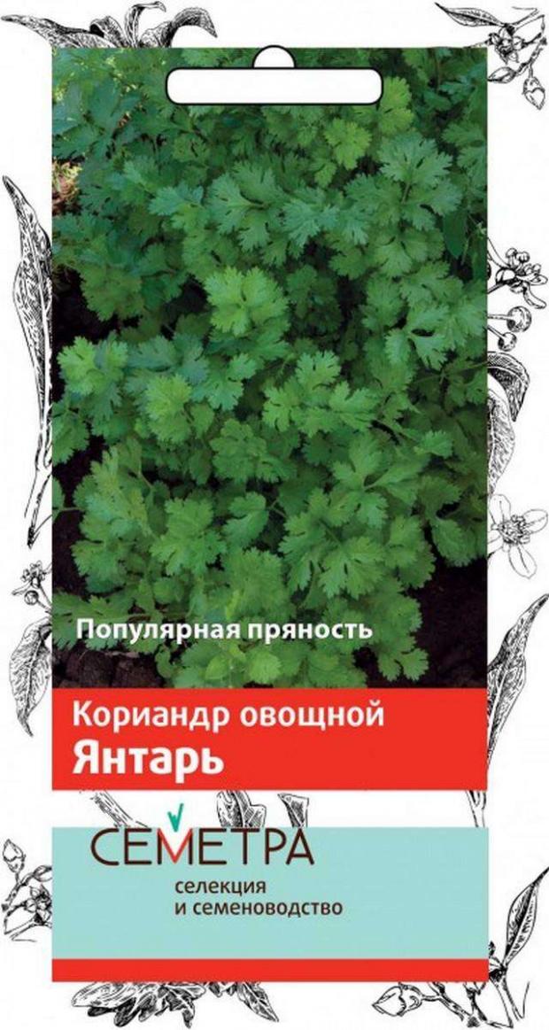 

Семена Кориандр «Поиск» Янтарь, 3 г