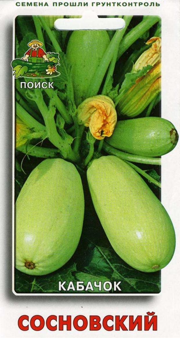 

Семена Кабачок «Поиск» Сосновский, 12 шт